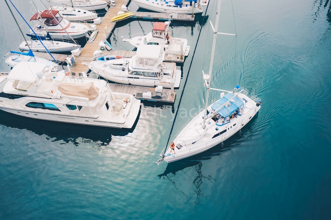 Marina view
