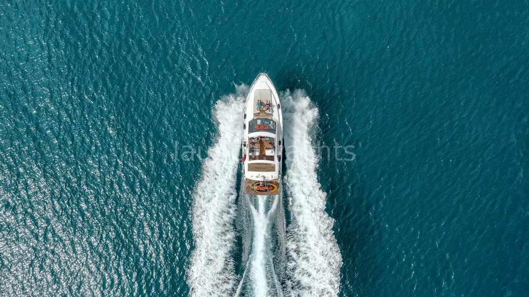 Professional Skipper